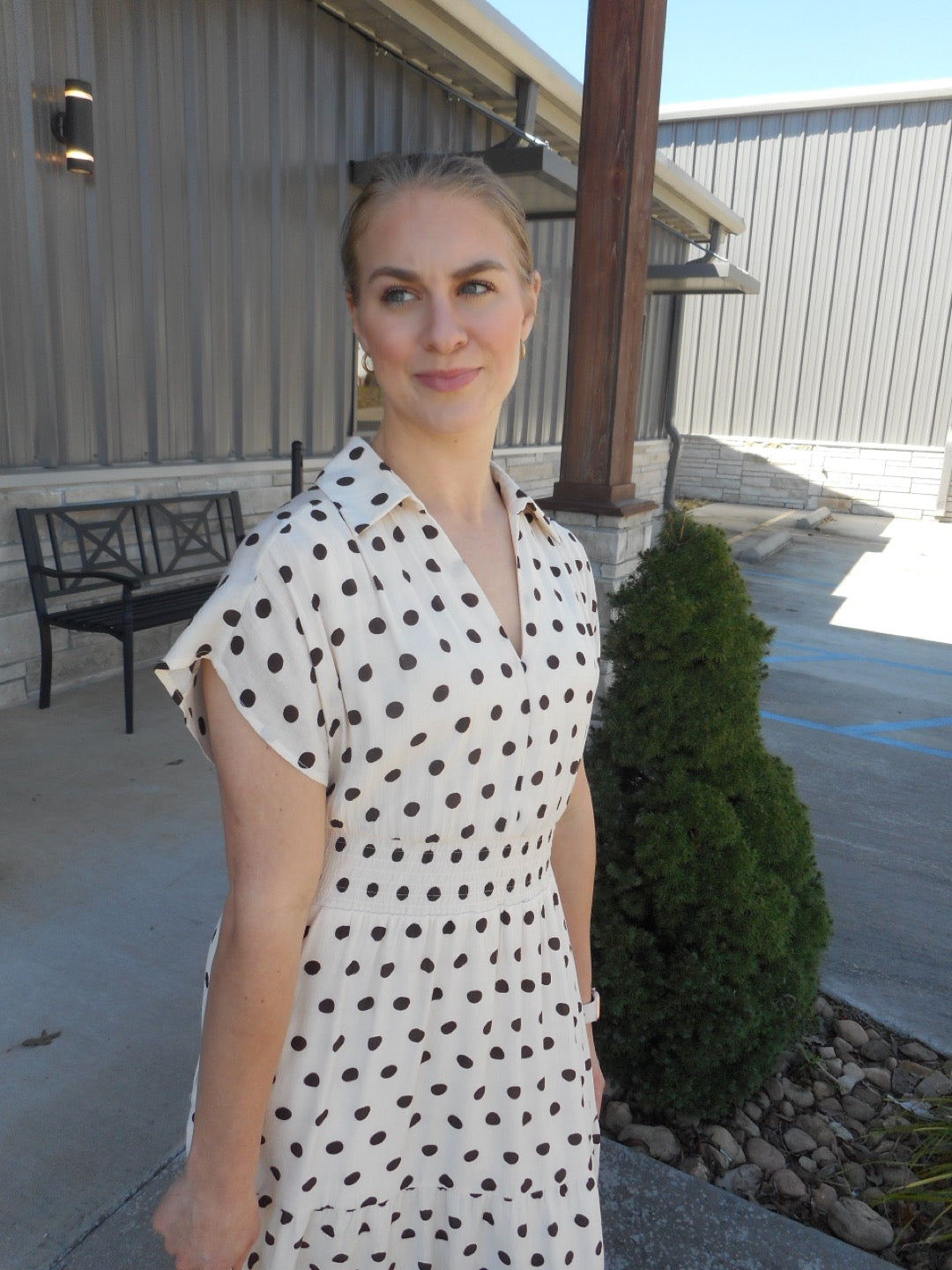 Polka Dot Dress With Pockets